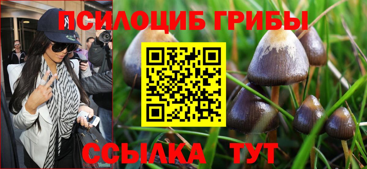 Псилоцибиновые грибы Cubensis  Вход с VPN  Шелехов 