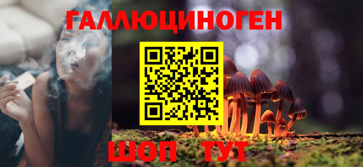Псилоцибиновые грибы Psilocybe Шелехов